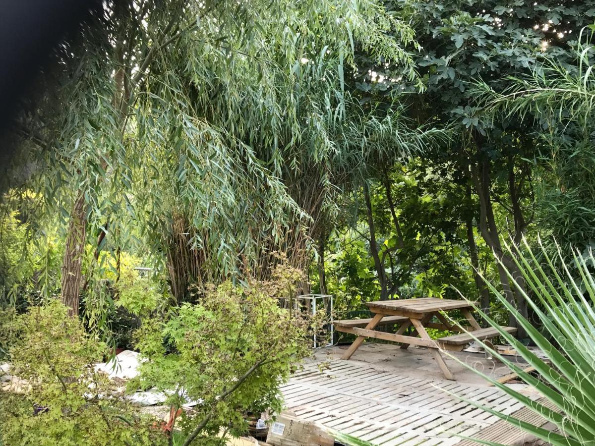 Apartamentos Can Juver Beceite Dış mekan fotoğraf